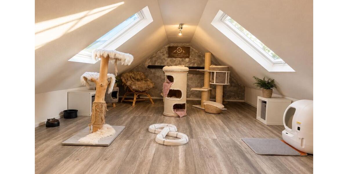 Einfamilienhaus Hagen am Teutoburger Wald - 3 Zimmer, 143 m&sup2;, 520.000&euro; | Angebot:27272236