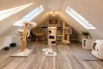 Einfamilienhaus Hagen am Teutoburger Wald - 3 Zimmer, 143 m&sup2;, 520.000&euro; | Angebot:27272236