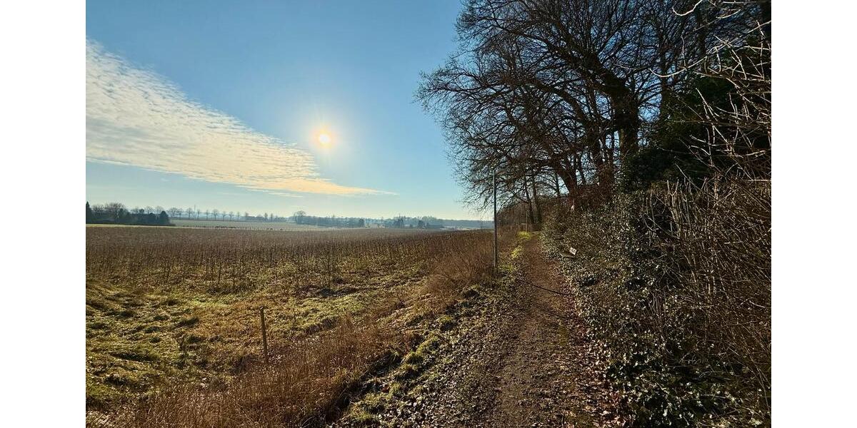 Terrassenwohnung Bad Iburg - 1.5 Zimmer, 62 m&sup2;, 900&euro; | Angebot:25026862