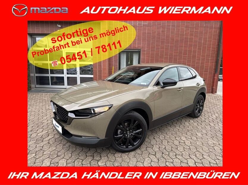 CX-30
