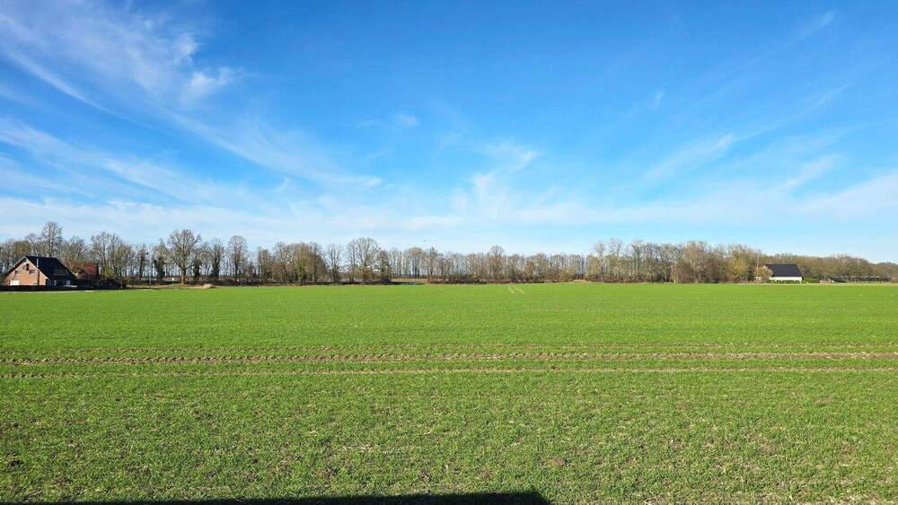 Einfamilienhaus Bad Essen Wimmer - 8 Zimmer, 216 m&sup2;, 379.000&euro; | Angebot:25773101