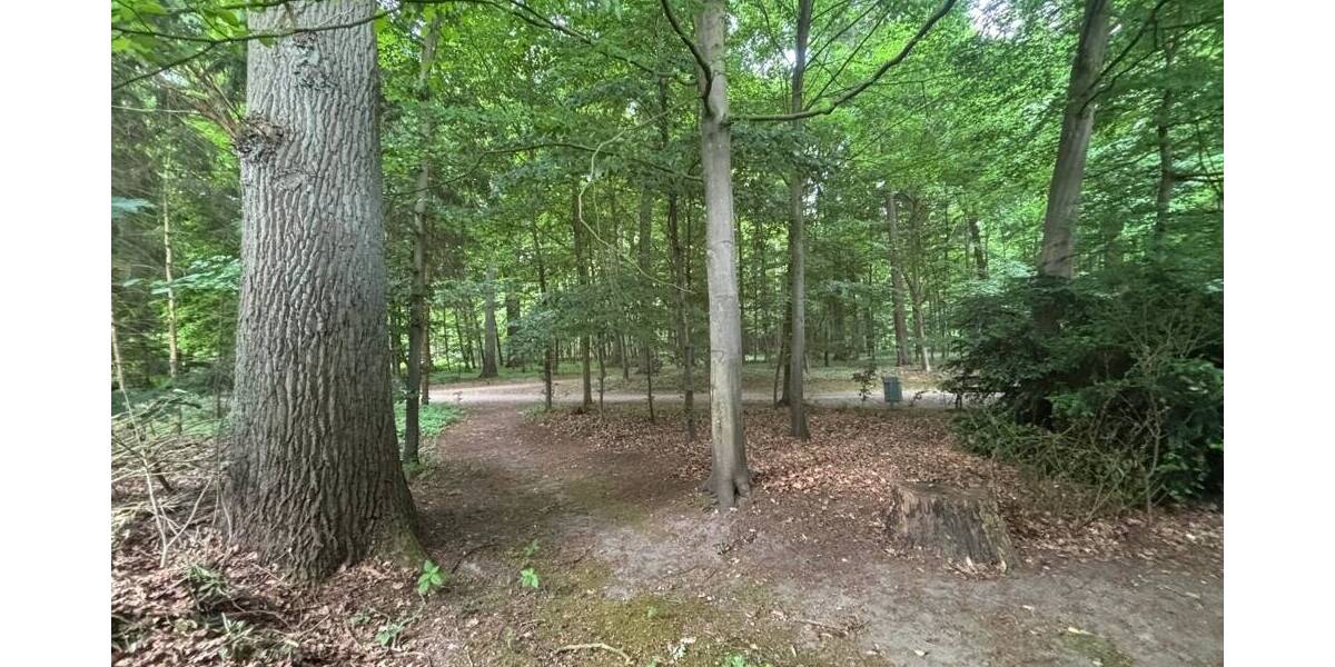 Doppelhaushälfte Osnabrück Eversburg - 9 Zimmer, 145 m&sup2;, 335.000&euro; | Angebot:26015279