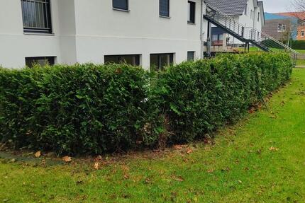 3-Zimmer-Souterrainwohnung in Lotte – modern, hell & mit Terrasse 3 zimmer