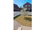Terrassenwohnung Bramsche - 3 Zimmer, 91 m&sup2;, 215.000&euro; | Angebot:26505552