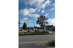 Gewerbeobjekt Ibbenbüren - 1.700&euro; | Angebot:22589984