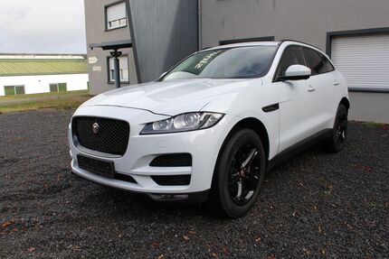 Jaguar F-Pace 116.000 km 19.999 € Westerkappeln 49492