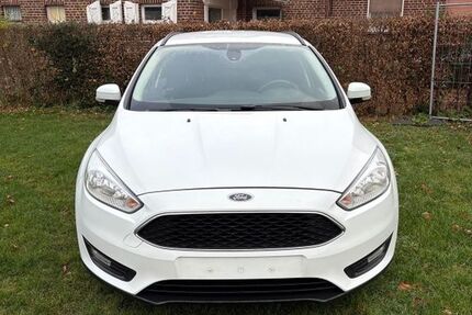Ford Focus 142.183 km 6.000 &euro; Alfhausen 49594