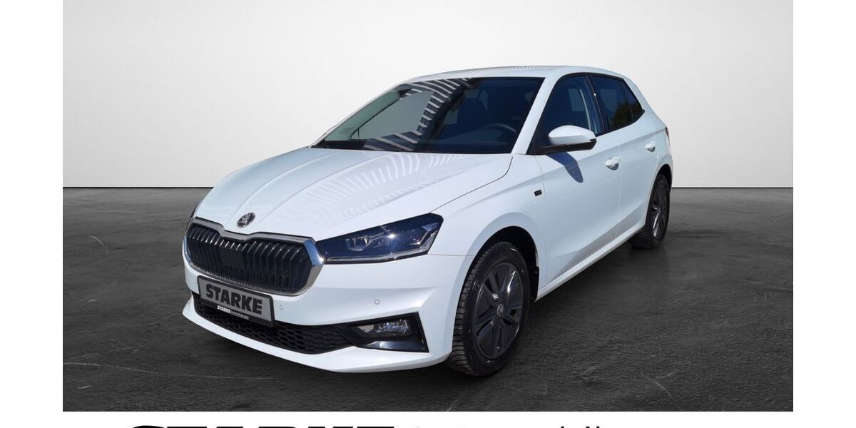 Skoda Fabia 15.742 km 22.780 &euro; Georgsmarienhütte 49124