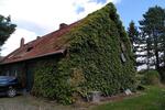 Bauernhaus, Landhaus Lienen - 6 Zimmer, 200 m&sup2;, 340.000&euro; | Angebot:27070761