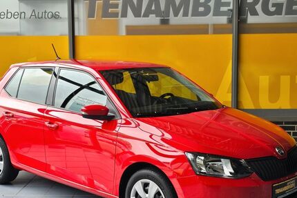 Skoda Fabia 42.455 km 9.900 € Mettingen 49497