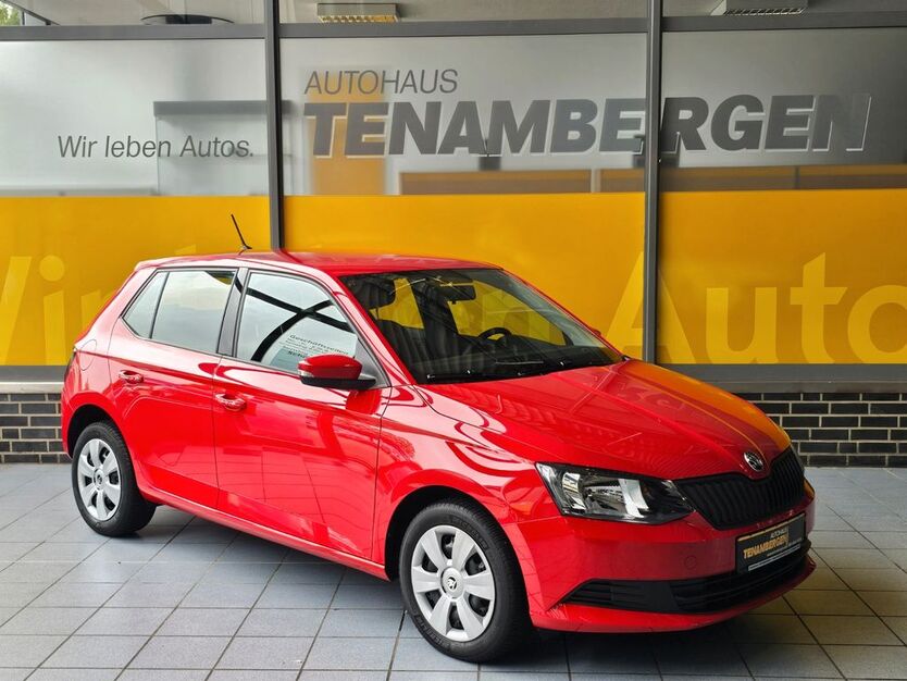 Skoda Fabia 42.455 km 9.900 € Mettingen 49497
