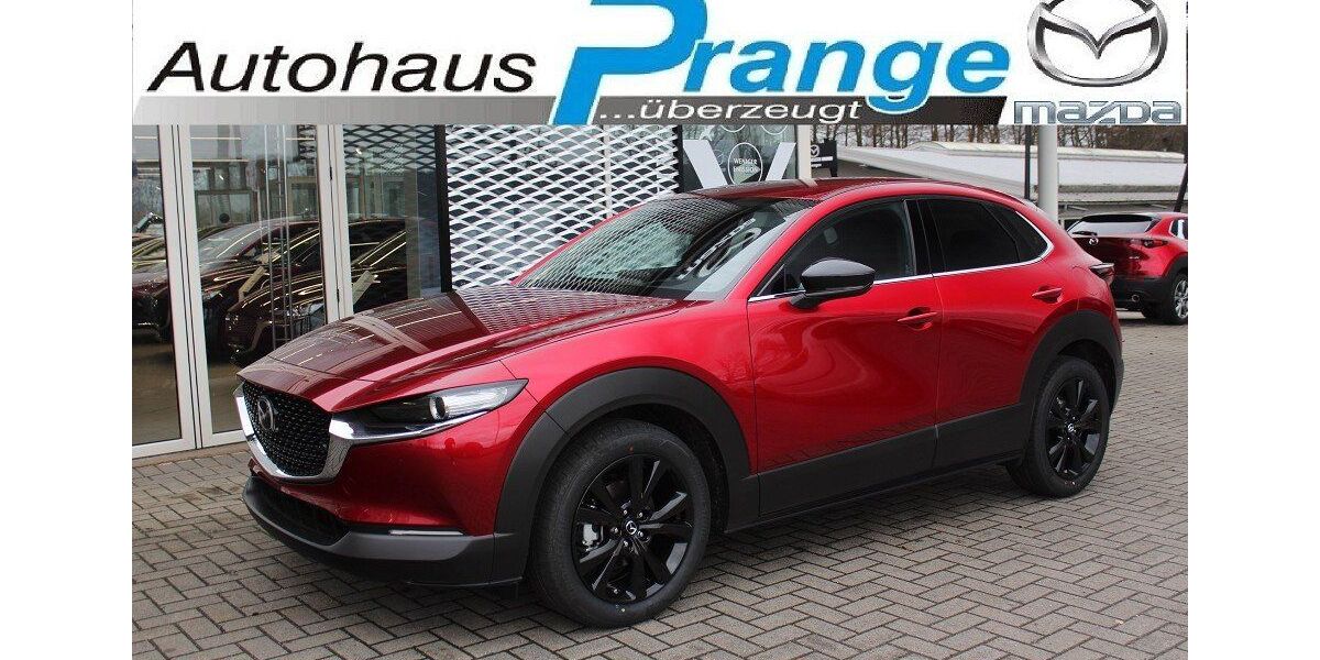 Mazda CX-30 4.007 km 29.485 &euro; Hilter 49176