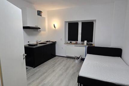 Möbliertes 1 Zimmer Apartment zu vermieten zimmer