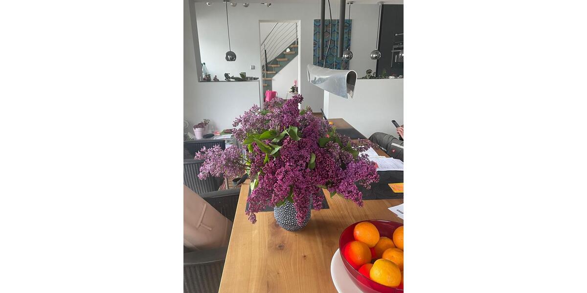 Etagenwohnung Osnabrück Dodesheide - 19 Zimmer, 110 m&sup2;, 650&euro; | Angebot:25259293