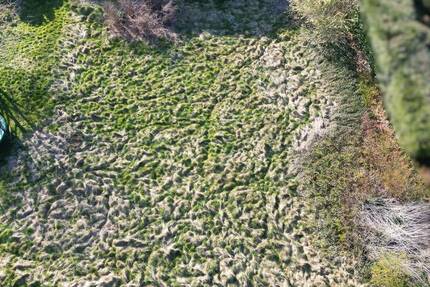 Attraktives Baugrundstück in schöner Lage von Ibbenbüren - Ideal für Ihr Bauprojekt zimmer