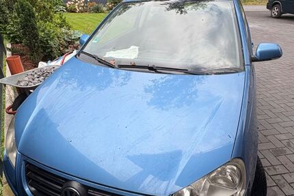 VW Polo 313.000 km 1.400 &euro; Bohmte 49163