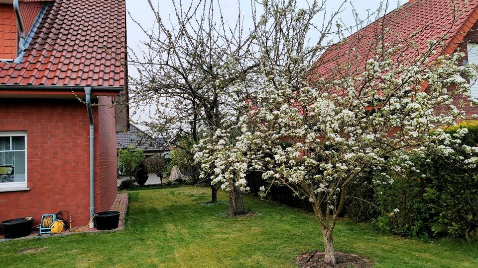 Einfamilienhaus Bohmte - 8 Zimmer, 126 m&sup2;, 320.000&euro; | Angebot:25961625