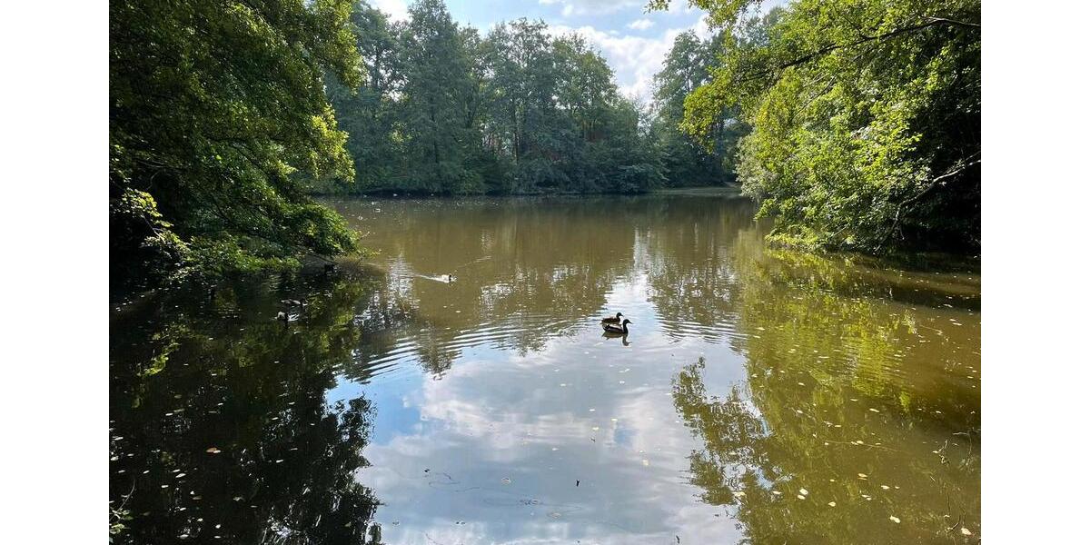 Erdgeschoßwohnung Osnabrück Fledder - 3 Zimmer, 100 m&sup2;, 255.000&euro; | Angebot:20524392