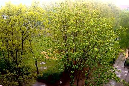 Eigentumswohnung Wertanlage 3 zimmer