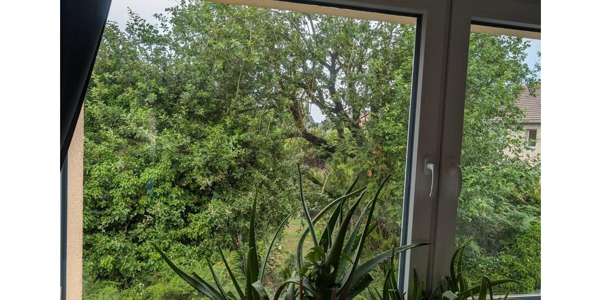 Etagenwohnung Dissen am Teutoburger Wald - 3 Zimmer, 72 m&sup2;, 159.000&euro; | Angebot:26765445