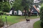 Einfamilienhaus Westerkappeln - 6 Zimmer, 360 m&sup2;, 1.249.000&euro; | Angebot:26615014