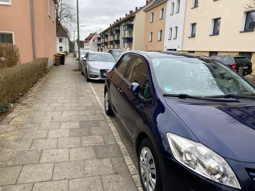 Auris