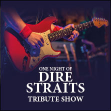 One Night of Dire Straits - Tribute Show 21.02.2027 Bürgerhaus Ibbenbüren