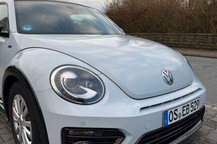 VW Beetle 100.350 km 19.500 &euro; Melle 49326