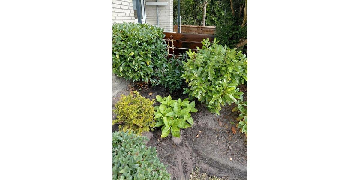 Etagenwohnung Bad Iburg - 2 Zimmer, 38 m&sup2;, 179.000&euro; | Angebot:24755274