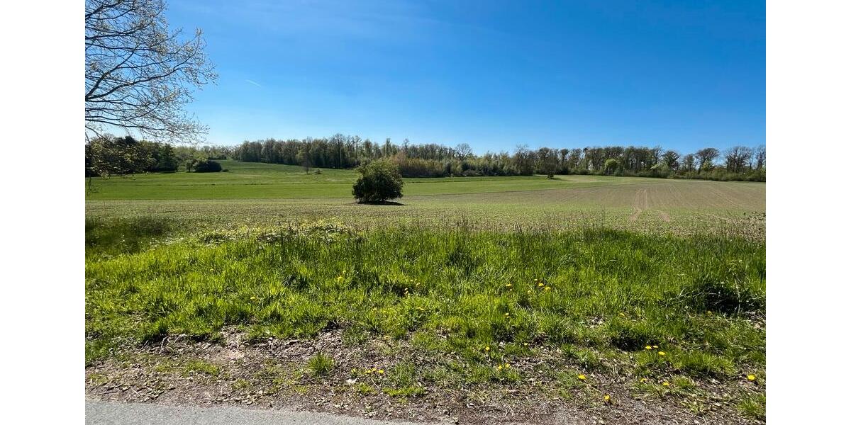 Mehrfamilienhaus, Wohnhaus Bissendorf - 290.000&euro; | Angebot:26890512