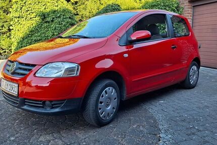 VW Fox
