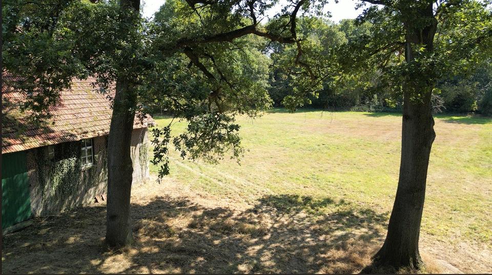 Bauernhaus, Landhaus Lienen - 6 Zimmer, 207 m&sup2;, 300.000&euro; | Angebot:27288832