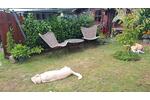 Einfamilienhaus Bramsche - 19.200&euro; | Angebot:27070604