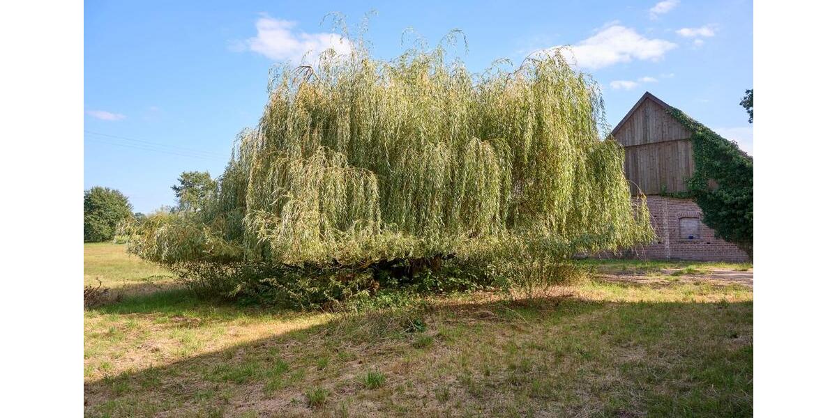 Bauernhaus, Landhaus Lienen - 6 Zimmer, 184 m&sup2;, 290.000&euro; | Angebot:27289831