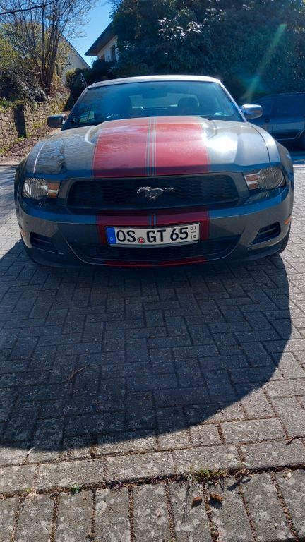 Mustang