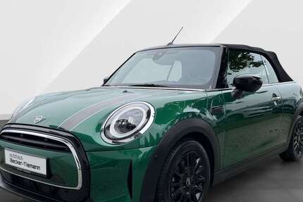 Mini Paceman