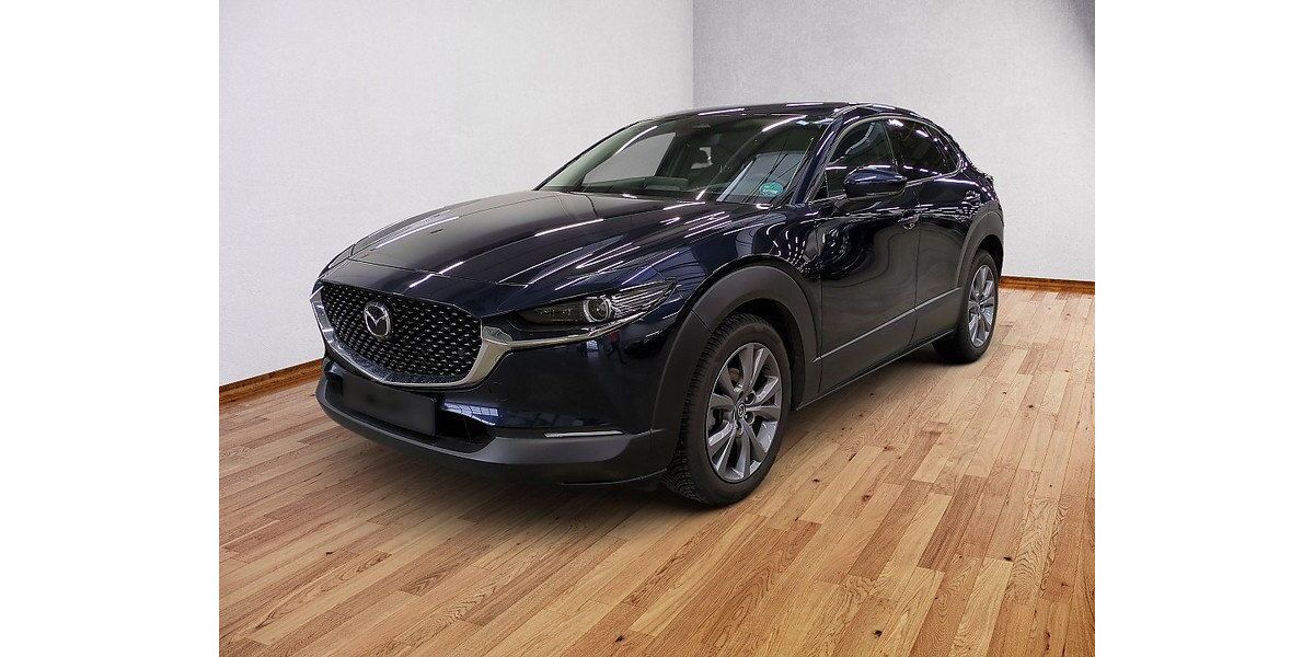 Mazda 2 20.604 km 26.450 &euro; Damme 49401